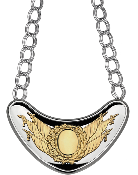 Fahnenträgerbrustschild mit Kette silberfarbig Au Fahnenträgerbrustschild mit Kette silberfarbig Au