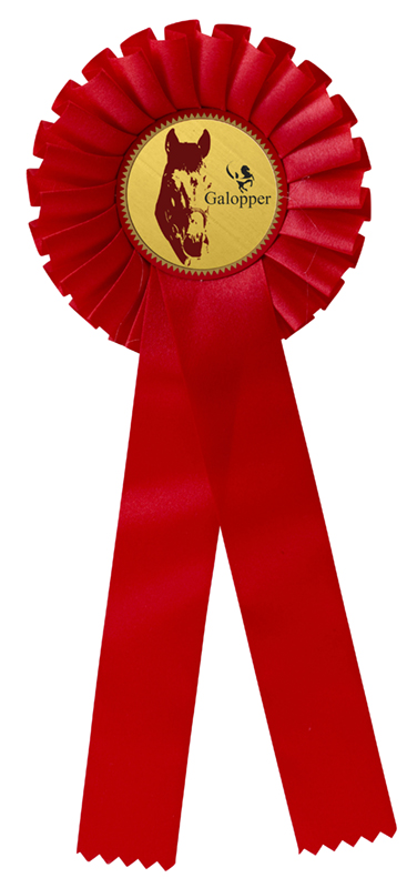 Einfache Rosette in Rot mit Emblem Einfache Rosette in Rot mit gefälteltem Rosettenkranz, zwei langen Schleifenbändern und rundem Mittelteil mit Pferdekopf-Motiv und Schriftzug Galopper