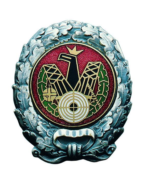Orden altsilber mit Scharniernadel