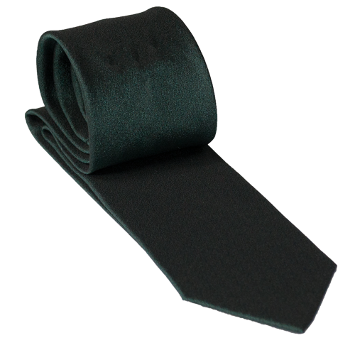 Krawatte grün Eisfond von EinzigArt Grüne, unifarbene Krawatte Eisfond von EinzigArt in normaler Länge, glatt eingelegt mit leicht glänzender Polyester-Oberfläche.