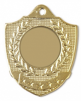 Eisen-Medaille Wappen 50 x 45 mm - gold