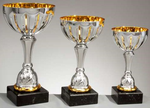Pokal Benjamin 197 mm in Silber-Gold auf schwarzem Sockel Pokal Benjamin H 197 mm / D 100 mm aus der Serie Benjamin, silberfarbener Pokal mit goldfarbener Innenseite und Akzenten auf schwarzem Sockel