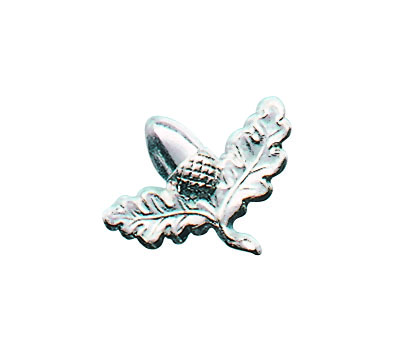 Abzeichen vergoldet mit Splint Abzeichen vergoldet mit Splint