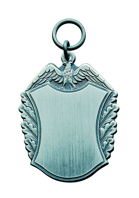 Anhänger mit Adler, altsilber mit Scharniernadel