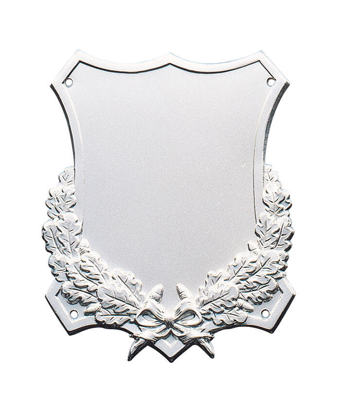 auflage_fahnennagel_deumer_10396 Fahnennagel versilbert mit 4 Löchern