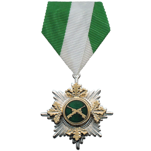Schützenorden mit gekreuzten Gewehren und grün-weißem Banddreieck Schützenorden von EinzigArt in Silberoptik mit Auflage aus gekreuzten Gewehren, sternförmigem Orden und grün-weißem Banddreieck mit Ring und Öse