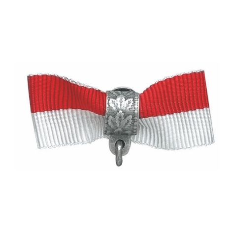 Stoffschleife  rot-weiß Schlaufe versilbert Stoffschleife  rot-weiß Schlaufe versilbert