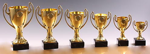 Pokal Cup-Trophäe H 237 mm / D 100 mm gold (ohne Deckel)