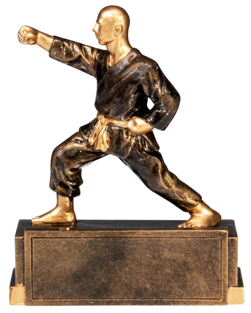 Resinfigur Judo/Karate - Höhe 120 mm Resinfigur Judo/Karate - Höhe 120 mm