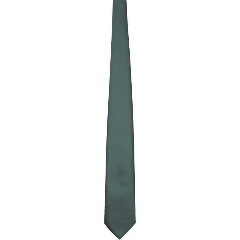 Krawatte grün Eisfond von EinzigArt Grüne, unifarbene Krawatte Eisfond von EinzigArt in normaler Länge mit glatter Polyester-Oberfläche und klassisch zulaufender Form.