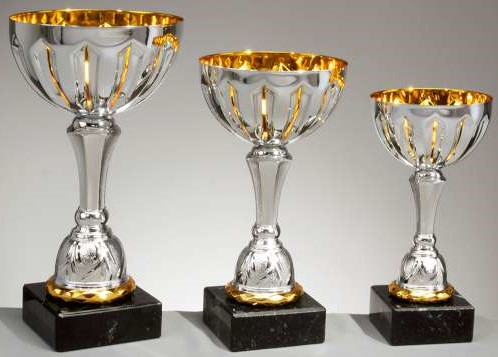 3er - Pokal Serie Benjamin silber / gold