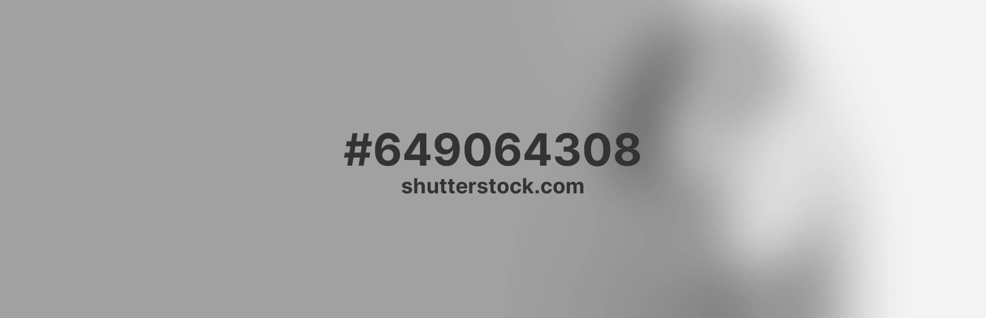 Komplettpaket für erfolgreiches Shop-Design