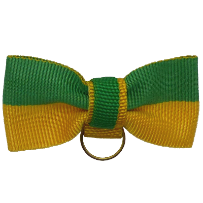 Bandschleife grün-gelb mit Ring für Orden Grün-gelbe Bandschleife aus Stoff mit mittigem Band und goldenem Ring zum Anhängen eines Ordens oder einer Medaille