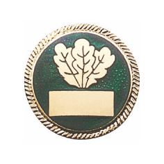 abzeichen_deumer_76452-12_eichenblatt Abzeichen vergoldet mit langer Nadel