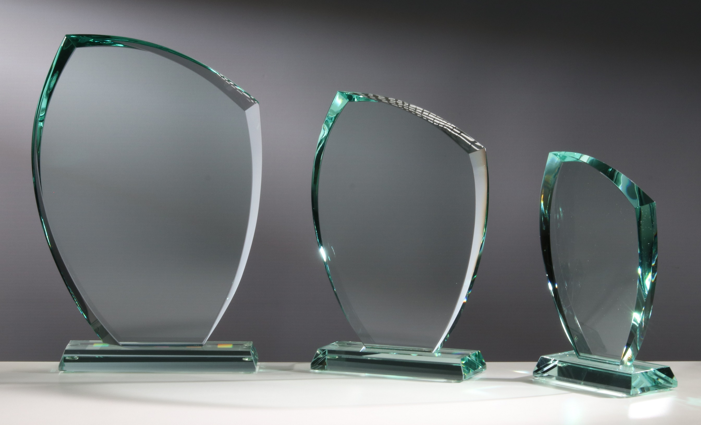 JADE-Trophäe halbrund Größe: L 240x160mm JADE-Trophäe halbrund Größe: L 240x160mm