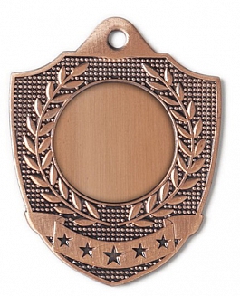 Eisen-Medaille Wappen 50 x 45 mm - bronze Eisen-Medaille Wappen 50 x 45 mm - bronze