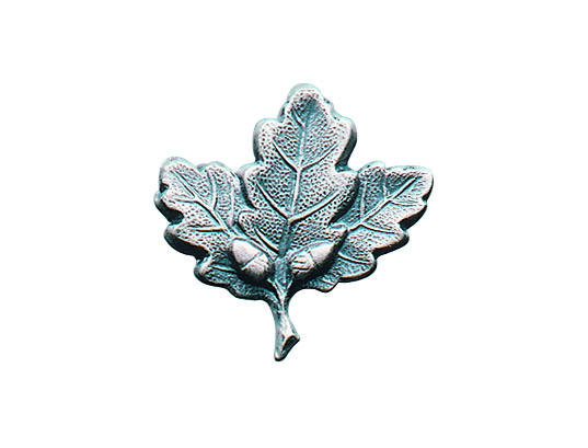 Blatt, Pflanze, Zubehör