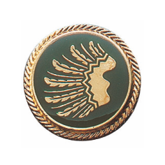 Auflage linker Flügel vergoldet mit langer Nadel, rundes Abzeichen in Gold auf grünem Grund Rundes Schützenabzeichen Auflage linker Flügel vergoldet mit langer Nadel mit goldenem linken Flügel auf grünem Hintergrund und goldfarbenem Rand