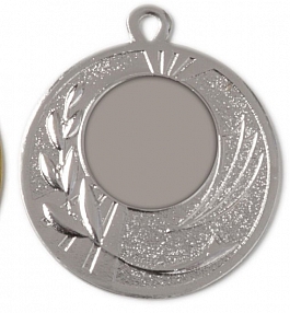 Eisen-Medaille Ø 50 mm -silber Eisen-Medaille Ø 50 mm -silber