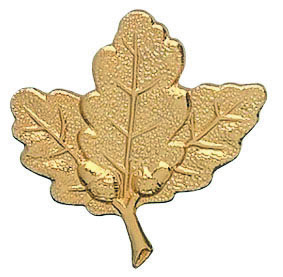 Schützenabzeichen versilbert Schützenabzeichen versilbert